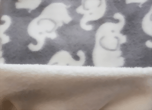 img_9499-large.gif